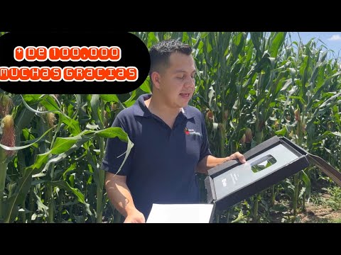 Más de 100,000 personas interesadas en el agro. Cultivo de maíz 🌽