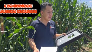 Más de 100,000 personas interesadas en el agro. Cultivo de maíz 🌽