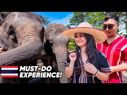 BATHING WITH ELEPHANTS! (MUST-DO IN BANGKOK)