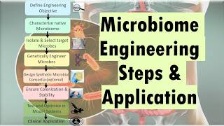What is Microbiome Engineering? Steps involved and Applications
