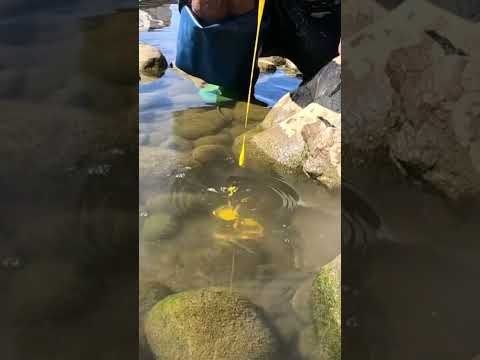 best fishing technique