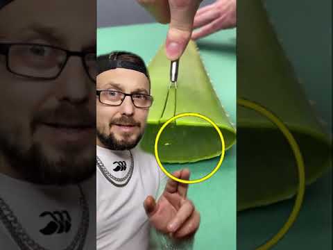 TAP The CIRCLE Really FAST