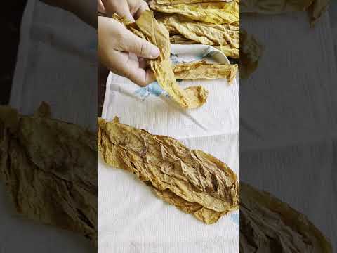 Мой рецепт ферментации табака с коньяком! #ферментациятабака#самодельный #авторскийвкус #аромат