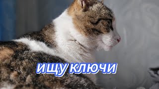 ИЩУ КЛЮЧИ ОТ ПОДВАЛА, НАШЕЛ АМУЛЕТ СИРЕНОГОЛОВОГО