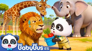 Los Animales Salvajes Volvieron | Canciones Infantiles | Videos para Niños | BabyBus en Español