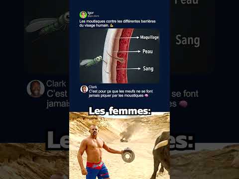 Les moustiques ne peuvent rien faire 😭