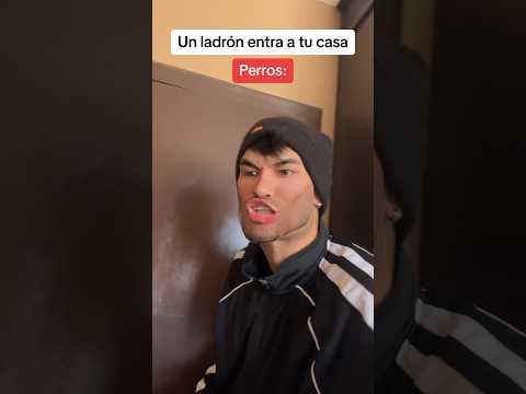 Por eso prefiero tener perros xd