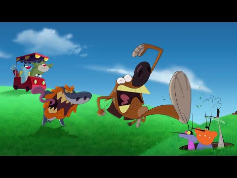 Oggy And the Cockroaches and Zig & Sharko | ON THE FIELD | A Xilam Series | Xilam TV