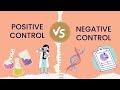 Control Groups in Experiments