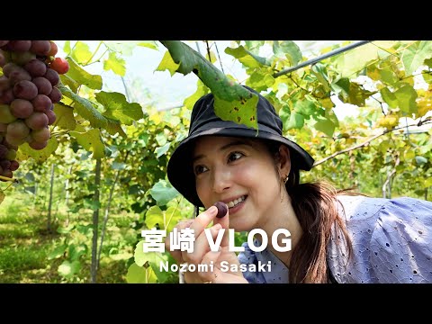 オフの日の旅行Vlog｜宮崎県でおいしいものと自然に癒されてきました🌿