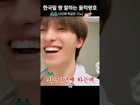 [세븐틴/디노/디에잇] 꿍얼디노 울컥명호 걍 둘다 넘웃김