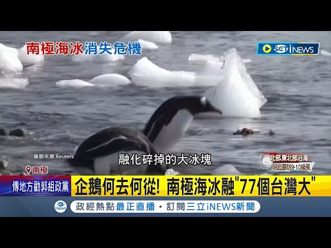 家園越來越少企鵝們該何去何從?