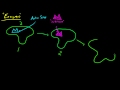 Exploring Enzymes in Biology