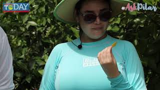Ask Pilar - The Shack Aruba