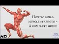 Muscle Strengthening Concepts Assessment