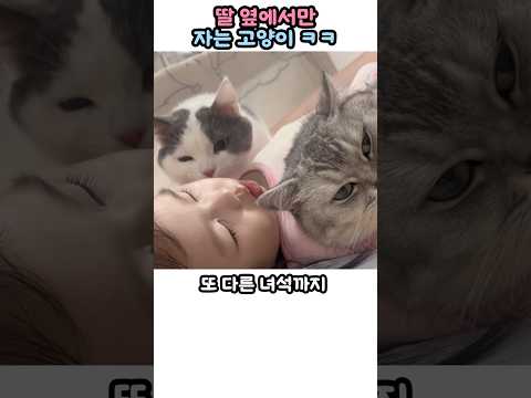 안깨고 잘도 자네 ㅋㅋ