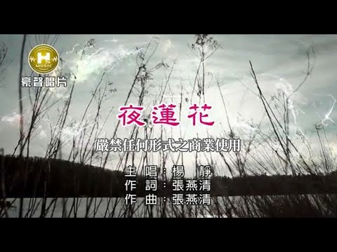 楊靜-夜蓮花【KTV導唱字幕】1080p