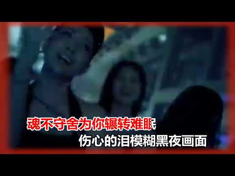 大歡  今生短暫的緣DJ版 MTV