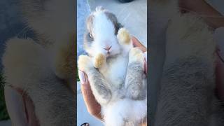 Ele faz muita caquinha