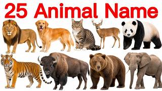 ​25 Animals Name English and Hindi with Pictures | 25 जानवरों के नाम | Animals Name for Kids | 🐂