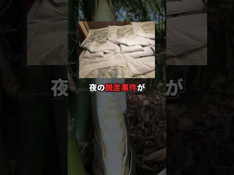 【生徒は知らない】修学旅行の衝撃の真実