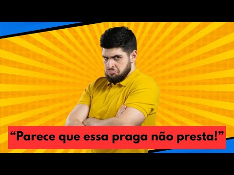 “Comprei. Agora quero saber se é boa…”