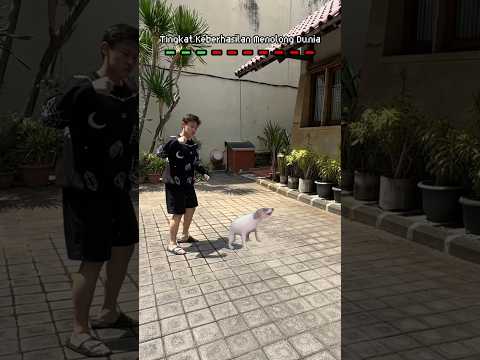 POV: MENOLONG DUNIA‼️🌏 #yangmuliacista #shorts #menolong #dunia #simulator