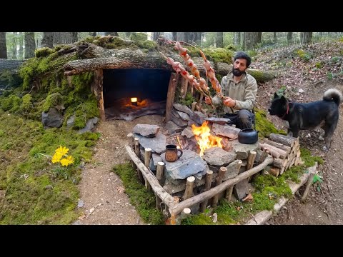 5 Days SOLO SURVIVAL CAMPING; Building Shelter Under BIG Fallen TREE. Quail Cooking. Bushcraft