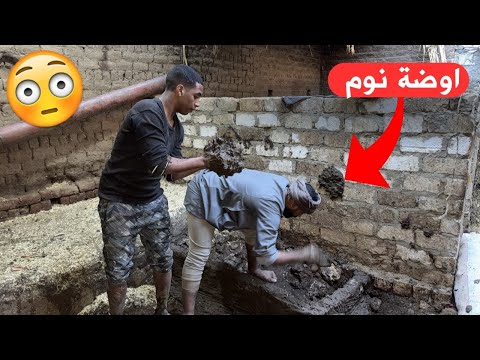 لو ولدك بعنق ولسه مجابش جنية وعايز يجوز | جبنالك الحل 😂