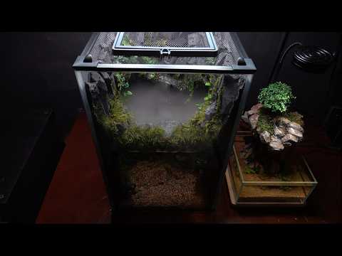 Follow these steps to easily create a stunning Cave Paludarium