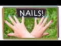 Understanding Fingernails and Toenails
