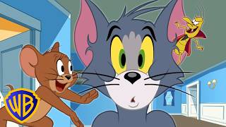 Tom y Jerry en Latino | El problema con las garrapatas de Tom | WB Kids