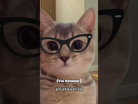 AS FÉRIAS TÃO ACABANDO 😭