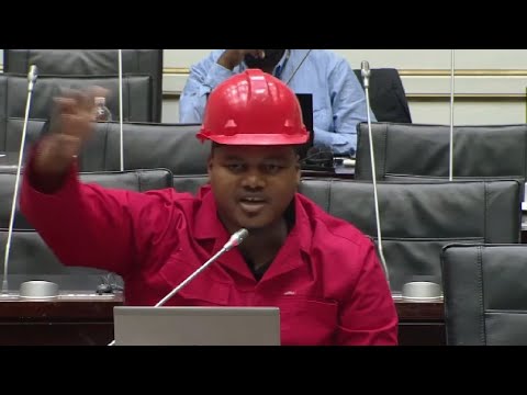 EFF Sihle Lonzi Questions WITS Readiness “Why Do You Withdraw NFSAS Funding During Year”