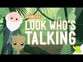 Understanding Plant Science