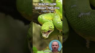 Is this the snake with the longest teeth? #snake #reptiles #wildlife