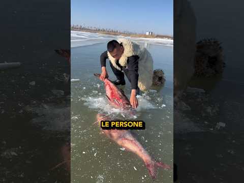 Pesca in Siberia 🐟🧊🤔