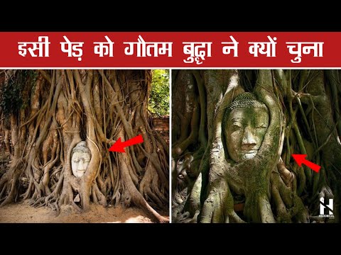 ऐसे थे गौतम बुद्ध || Story of Gautama Buddha in Hindi