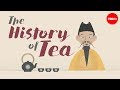 History and Evolution of Tea