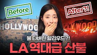 악마의 바람이 불러온 재앙?! LA를 삼켜버린 역대급 산불