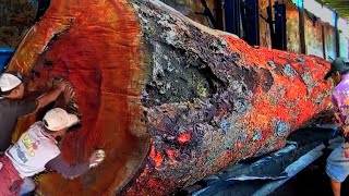 Amazing! The dangerous process of sawing large and long jackfruit logs at sawmill 
