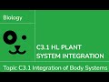 Plant Hormones and Their Effects