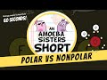 Understanding Polar and Nonpolar Concepts in Biology