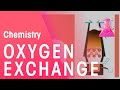 Chemical Reactions and Processes