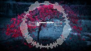 Bir-D - STS