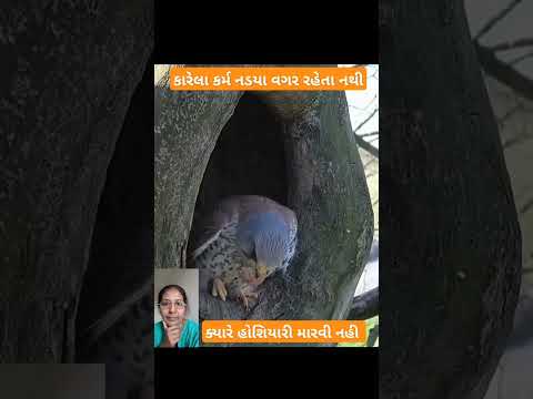કરેલા કર્મ નડયા વગર રહેતા નથી