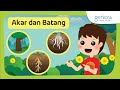 Kuis Tentang Tumbuhan