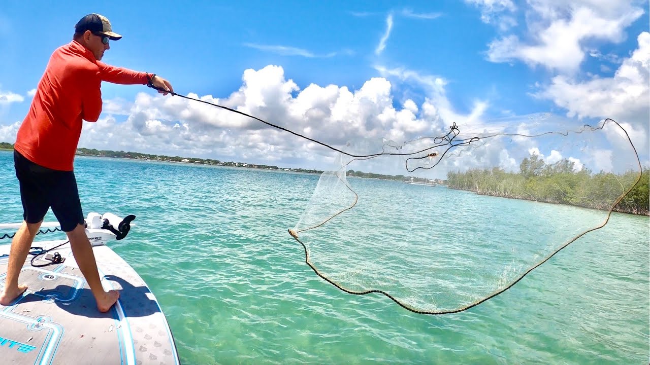 How to -CASTNET- MILLIONS of FISH! - Bluegabe