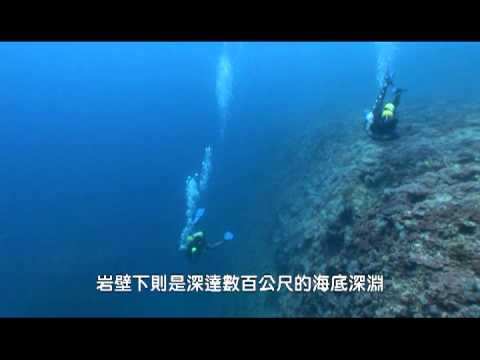 台灣最完美珊瑚礁 - YouTube(4分17秒)