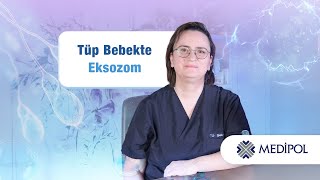 Tüp Bebekte Eksozom Tedavisi Uygulanabilir mi?